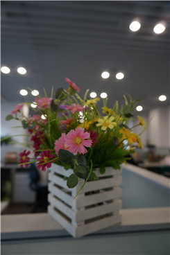 �ڿ�����΢���¾�����RX100�Ա�NEX5R