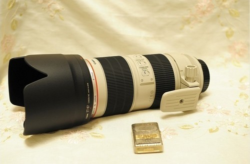 顶级小白兔 佳能70-200mm售13800元_数码