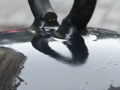 2070万像素不简单 索尼Xperia Z1拍照评测(2)|