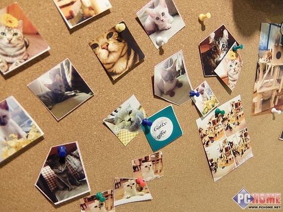 崇尚简约性能均衡 富士便携卡片XQ1评测(5)_数