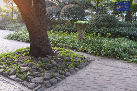 ������ȫ�����῵D610�����������(4)