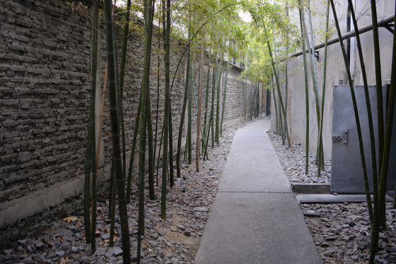 进击的全画幅尼康D610单反相机测试(5)