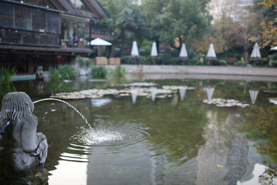 进击的全画幅尼康D610单反相机测试(5)