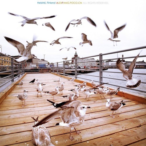 人像摄影师必备技巧 多重曝光进阶课程 (3)|多重