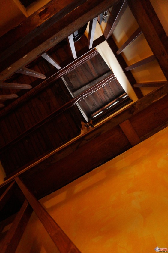 叫板无反最快对焦 索尼微单A6000评测