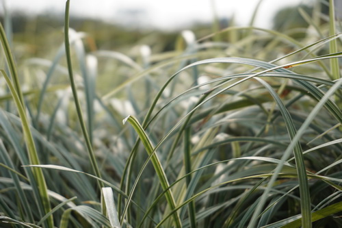 加量不加价的升级索尼微单A6000评测(5)