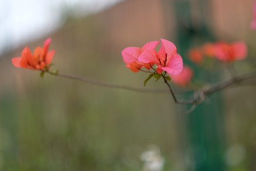 值不值得买 富士56mmF1.2定焦镜头评测(5)_数