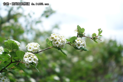 ���õ���ȡ��������ڿ�RX100III����(6)