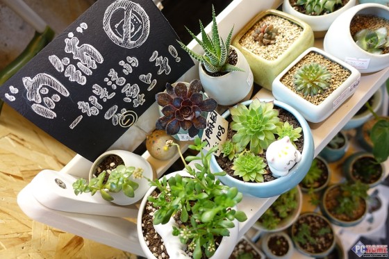 大火翻烘眼界全开索尼RX100M3深度评测(10)