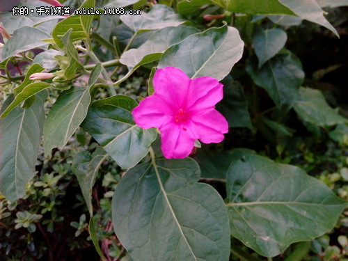 ����+ȫ���ܽ�