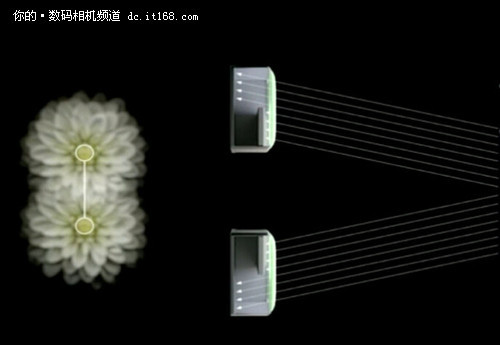 削肾客出没 一个影像编辑眼中的iPhone 6