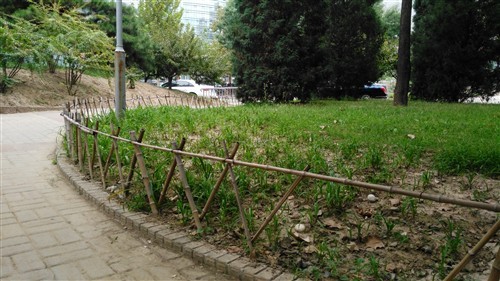 金属机身无畏生长 华为麦芒C199评测(3)|华为