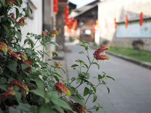 首款下翻式自拍屏微单奥林巴斯E-PL7评测(4)