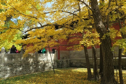 新一代便携小DC佳能PowerShotG7X试用(6)