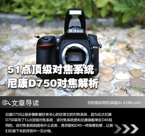 51点顶级对焦系统 尼康d750对焦解析
