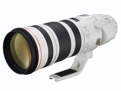 打鸟神器镜头佳能200-400mm报51200元