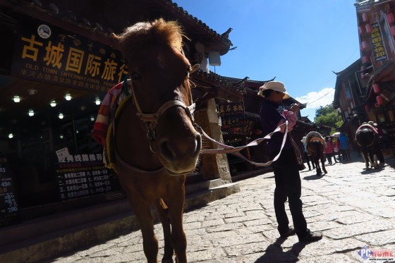 装进口袋的专业 佳能G7X便携旗舰评测