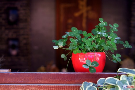 装进口袋的专业 佳能G7X便携旗舰评测