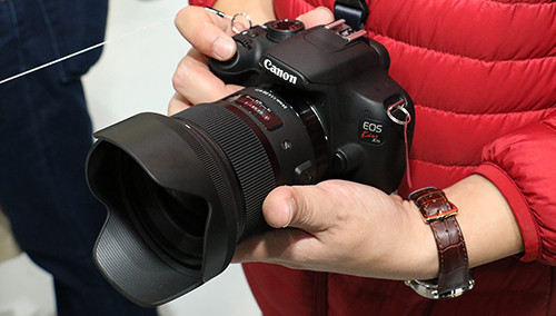 适马新广角24mmF1.4抢鲜试用