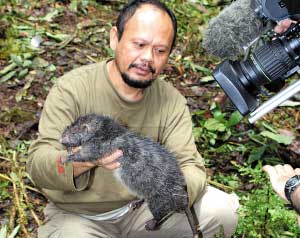 科技时代_最小袋鼠最大老鼠 印尼“失落世界”发现新物种