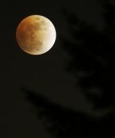 华盛顿州上空橘红色的月亮