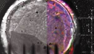 �Ƽ�ʱ��_�����������Ļ��ǳ�����Ƭ