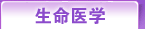 博客沙龙