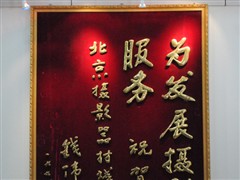 中端旗舰尼康D300高感实拍样片大赏