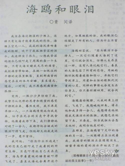 在相机里编辑你的照片智能场景模式篇