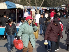 ˫�ض���´��������V1253ɨ��չ����