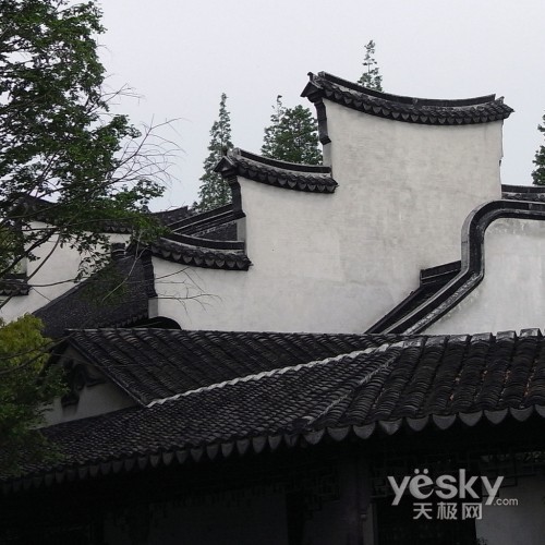 1:1玩黑白复古理光R8独特功能解析