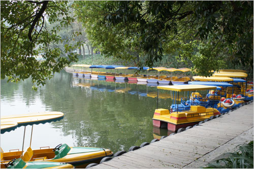 走近微距 索尼30mm F2.8 Macro新镜试用_数码