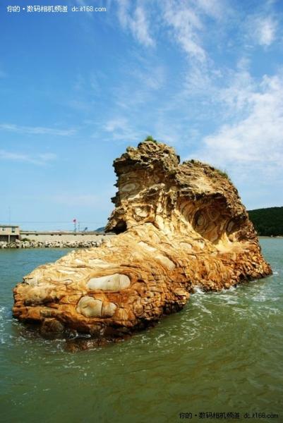 一镜悠游佳能550D配18-200烟墩角拍天鹅(5)