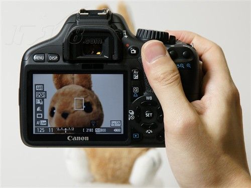 金属质感 佳能550D最新报价4900元_数码