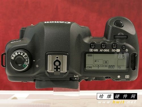 高端色友爱无敌兔 佳能5D2单机16700元_数码