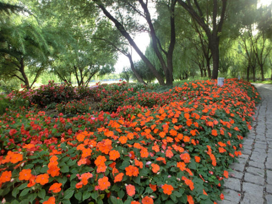 相机中的战斗机 卡西欧EX-TR100评测_数码