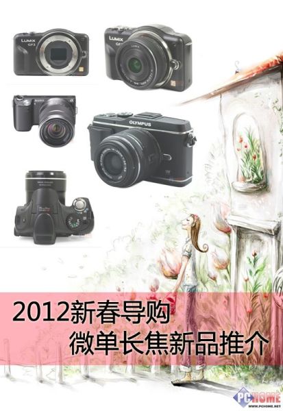 2012新春导购微单长焦新品推介导购PChome