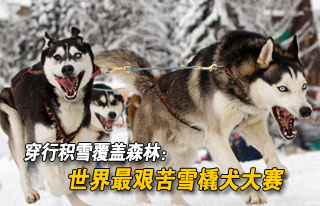 http://tech.sina.com.cn/geo/other/news/2012-02-15/07441096.shtml