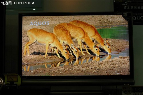 ��߽�5000Ԫ11�½��۷�������ƽ��(11)