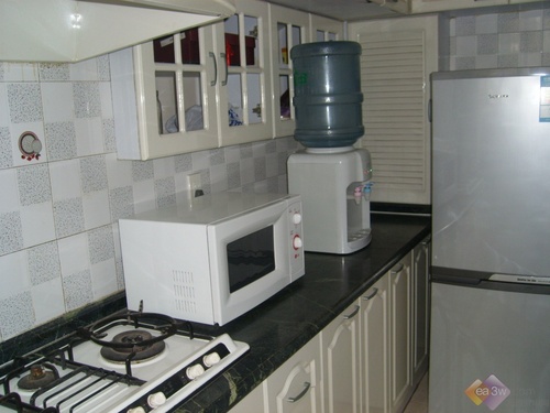 不只是噱头 光波炉与微波炉实质解析_家电