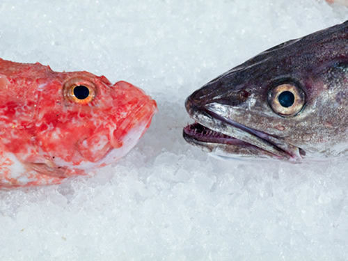 健康厨房必备夏季食物存储常识一览