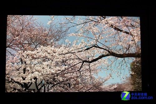 ��ԽͶӰ����ȫ���׿�8K�ֱ���LCD����