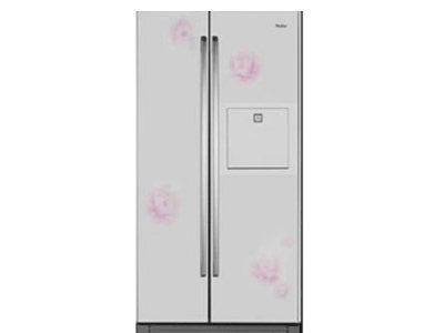 ���� BCD-552WYJF