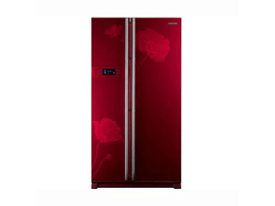 ���� RS21HSLPM1/XSC