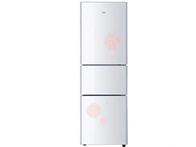 ���� BCD-225SKCN��ˮ���ף�