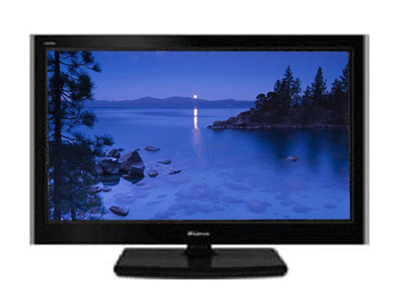 ���� TLM19V66