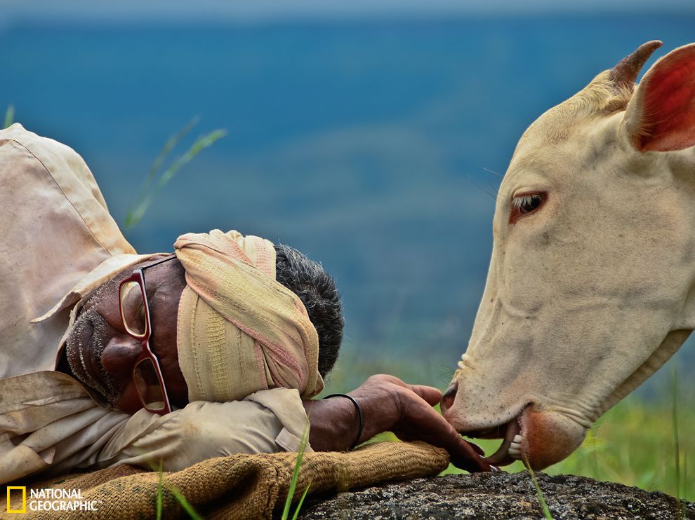 每日一图_新浪环球地理