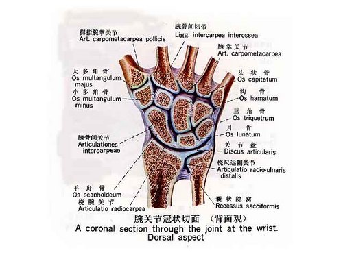 小心健康杀手编辑教你如何预防鼠标手