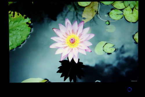 �๦��1080PҺ������2232wm�������