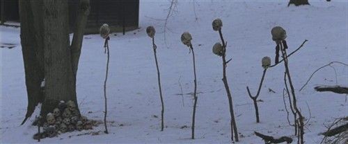 搞笑恐怖动漫 近期值得关注影片解析_硬件